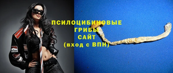spice Алексеевка