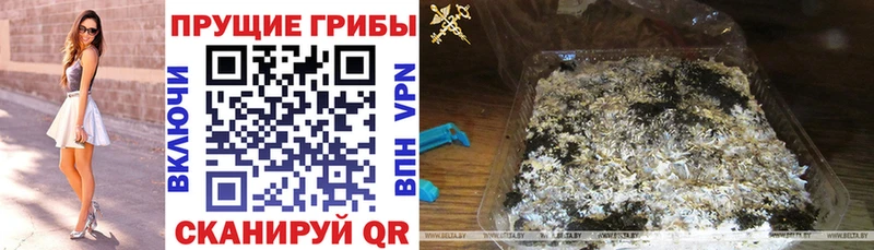 дарнет шоп  Кукмор  Галлюциногенные грибы прущие грибы 
